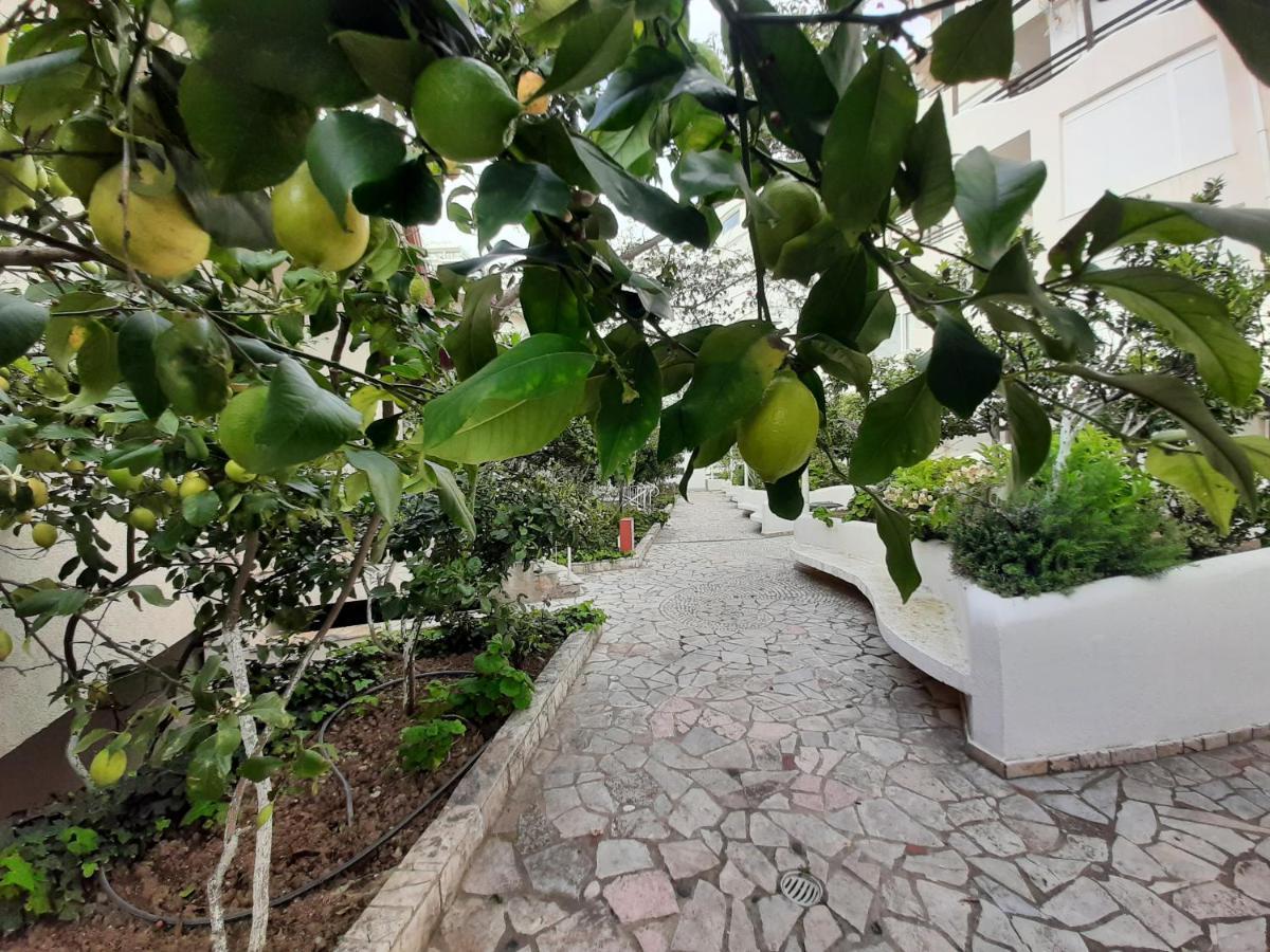 Kela Apartments Sarandë エクステリア 写真