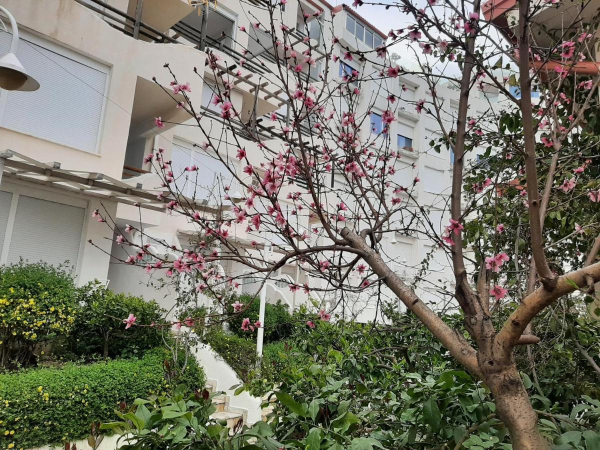 Kela Apartments Sarandë エクステリア 写真