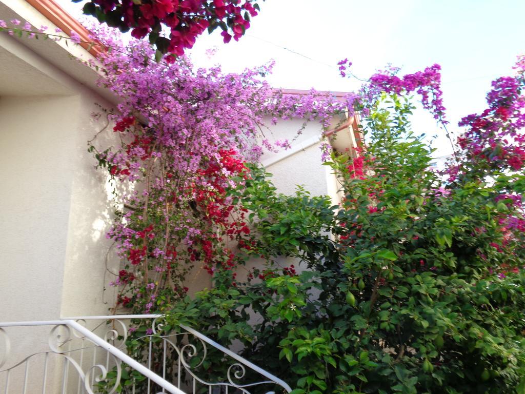 Kela Apartments Sarandë エクステリア 写真